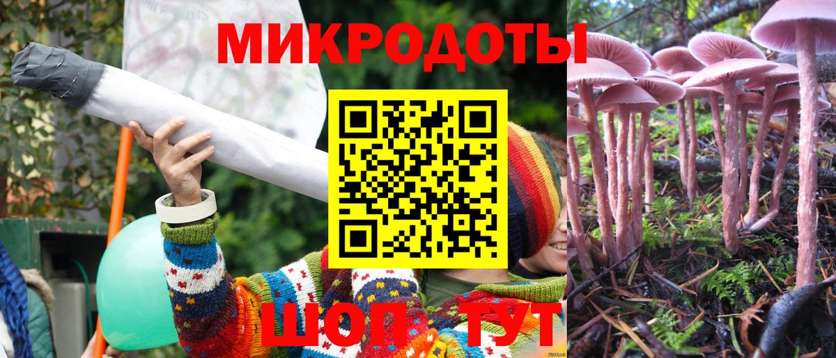 Барабинск  Псилоцибиновые грибы Psilocybe  Вход с VPN 